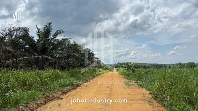 Mersing Agricultural Land - Agricultural Land in Mersing