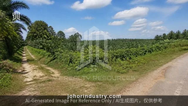 Pekan Nanas Agricultural Land for Sale - Agricultural Land in Johor Bahru