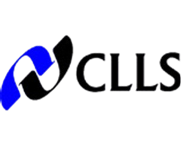 Client 13